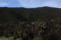 Canon EOS 5D Mark II, 2018:02:25 10:37:24 -- 1/160 sec, f/11.0.  No Flash, Compulsory.4080x2720 