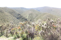 Canon EOS 5D Mark II, 2018:02:25 10:37:24 -- 1/30 sec, f/11.0.  No Flash, Compulsory.4080x2720 