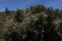 Canon EOS 5D Mark II, 2018:02:25 10:39:08 -- 1/160 sec, f/11.0.  No Flash, Compulsory.4080x2720 