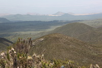 Canon EOS 5D Mark II, 2018:02:25 11:19:11 -- 1/125 sec, f/11.0.  No Flash, Compulsory.4080x2720 