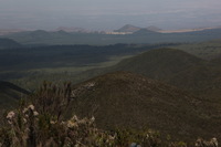 Canon EOS 5D Mark II, 2018:02:25 11:19:11 -- 1/250 sec, f/11.0.  No Flash, Compulsory.4080x2720 