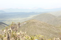 Canon EOS 5D Mark II, 2018:02:25 11:19:12 -- 1/125 sec, f/11.0.  No Flash, Compulsory.4080x2720 