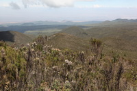 Canon EOS 5D Mark II, 2018:02:25 11:21:45 -- 1/80 sec, f/11.0.  No Flash, Compulsory.4080x2720 