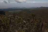 Canon EOS 5D Mark II, 2018:02:25 11:21:45 -- 1/200 sec, f/11.0.  No Flash, Compulsory.4080x2720 