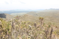 Canon EOS 5D Mark II, 2018:02:25 11:21:45 -- 1/40 sec, f/11.0.  No Flash, Compulsory.4080x2720 