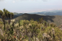 Canon EOS 5D Mark II, 2018:02:25 11:22:04 -- 1/80 sec, f/11.0.  No Flash, Compulsory.4080x2720 