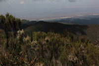 Canon EOS 5D Mark II, 2018:02:25 11:22:04 -- 1/200 sec, f/11.0.  No Flash, Compulsory.4080x2720 