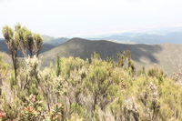 Canon EOS 5D Mark II, 2018:02:25 11:22:05 -- 1/60 sec, f/11.0.  No Flash, Compulsory.4080x2720 