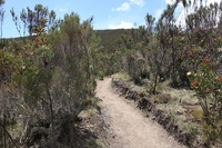 Canon EOS 5D Mark II, 2018:02:25 11:37:08 -- 1/80 sec, f/10.0.  No Flash, Compulsory.4080x2720 