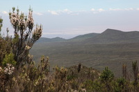 Canon EOS 5D Mark II, 2018:02:25 11:41:51 -- 1/100 sec, f/16.0.  No Flash, Compulsory.4080x2720 