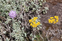 Canon EOS 5D Mark II, 2018:02:25 11:48:00 -- 1/100 sec, f/16.0.  No Flash, Compulsory.4080x2720 