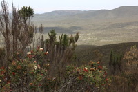 Canon EOS 5D Mark II, 2018:02:25 12:02:46 -- 1/60 sec, f/13.0.  No Flash, Compulsory.4080x2720 