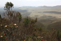 Canon EOS 5D Mark II, 2018:02:25 12:03:09 -- 1/50 sec, f/13.0.  No Flash, Compulsory.4080x2720 