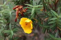 Canon EOS 5D Mark II, 2018:02:25 12:15:22 -- 1/125 sec, f/9.0.  No Flash, Compulsory.4080x2720 