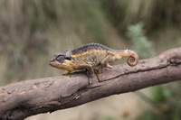 Canon EOS 5D Mark II, 2018:02:25 12:16:55 -- 1/100 sec, f/11.0.  No Flash, Compulsory.4080x2720 