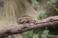 Canon EOS 5D Mark II, 2018:02:25 12:17:12 -- 1/100 sec, f/11.0.  No Flash, Compulsory.4080x2720 