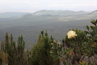 Canon EOS 5D Mark II, 2018:02:25 12:26:23 -- 1/100 sec, f/14.0.  No Flash, Compulsory.4080x2720 