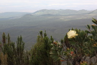 Canon EOS 5D Mark II, 2018:02:25 12:26:27 -- 1/125 sec, f/14.0.  No Flash, Compulsory.4080x2720 