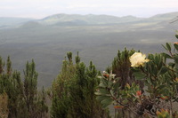 Canon EOS 5D Mark II, 2018:02:25 12:26:51 -- 1/125 sec, f/14.0.  No Flash, Compulsory.4080x2720 