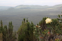 Canon EOS 5D Mark II, 2018:02:25 12:26:53 -- 1/125 sec, f/14.0.  No Flash, Compulsory.4080x2720 