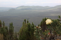 Canon EOS 5D Mark II, 2018:02:25 12:26:57 -- 1/125 sec, f/14.0.  No Flash, Compulsory.4080x2720 