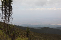 Canon EOS 5D Mark II, 2018:02:25 12:33:03 -- 1/160 sec, f/20.0.  No Flash, Compulsory.4080x2720 