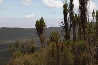 Canon EOS 5D Mark II, 2018:02:25 12:33:12 -- 1/160 sec, f/20.0.  No Flash, Compulsory.4080x2720 