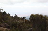 Canon EOS 5D Mark II, 2018:02:25 12:45:41 -- 1/60 sec, f/13.0.  No Flash, Compulsory.4080x2720 