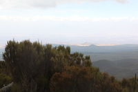 Canon EOS 5D Mark II, 2018:02:25 12:45:43 -- 1/60 sec, f/13.0.  No Flash, Compulsory.4080x2720 