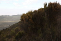 Canon EOS 5D Mark II, 2018:02:25 12:45:51 -- 1/60 sec, f/13.0.  No Flash, Compulsory.4080x2720 