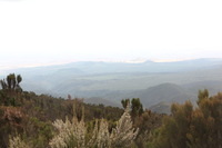 Canon EOS 5D Mark II, 2018:02:25 12:48:42 -- 1/30 sec, f/14.0.  No Flash, Compulsory.4080x2720 