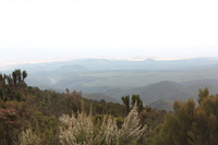 Canon EOS 5D Mark II, 2018:02:25 12:49:20 -- 1/60 sec, f/10.0.  No Flash, Compulsory.4080x2720 