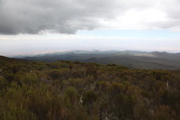 Canon EOS 5D Mark II, 2018:02:25 13:05:05 -- 1/80 sec, f/13.0.  No Flash, Compulsory.4080x2720 