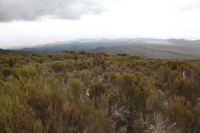 Canon EOS 5D Mark II, 2018:02:25 13:05:11 -- 1/40 sec, f/13.0.  No Flash, Compulsory.4080x2720 