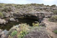 Canon EOS 5D Mark II, 2018:02:25 17:00:52 -- 1/40 sec, f/8.0.  No Flash, Compulsory.4080x2720 