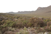 Canon EOS 5D Mark II, 2018:02:26 06:33:36 -- 1/13 sec, f/10.0.  No Flash, Compulsory.4080x2720 