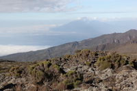 Canon EOS 5D Mark II, 2018:02:27 07:55:33 -- 1/125 sec, f/11.0.  No Flash, Compulsory.4080x2720 