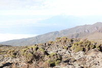 Canon EOS 5D Mark II, 2018:02:27 07:55:33 -- 1/80 sec, f/11.0.  No Flash, Compulsory.4080x2720 