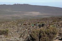 Canon EOS 5D Mark II, 2018:02:27 08:32:49 -- 1/125 sec, f/13.0.  No Flash, Compulsory.4080x2720 