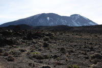 Canon EOS 5D Mark II, 2018:02:27 08:51:35 -- 1/125 sec, f/10.0.  No Flash, Compulsory.4080x2720 