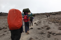 Canon EOS 5D Mark II, 2018:02:27 10:22:01 -- 1/50 sec, f/11.0.  No Flash, Compulsory.4080x2720 