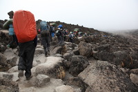 Canon EOS 5D Mark II, 2018:02:27 10:47:29 -- 1/60 sec, f/7.1.  No Flash, Compulsory.4080x2720 