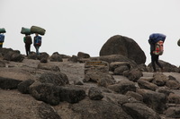 Canon EOS 5D Mark II, 2018:02:27 10:58:29 -- 1/100 sec, f/7.1.  No Flash, Compulsory.4080x2720 