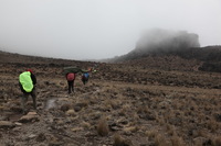 Canon EOS 5D Mark II, 2018:02:27 11:20:57 -- 1/100 sec, f/7.1.  No Flash, Compulsory.4080x2720 