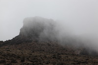 Canon EOS 5D Mark II, 2018:02:27 11:22:19 -- 1/125 sec, f/8.0.  No Flash, Compulsory.4080x2720 