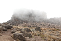 Canon EOS 5D Mark II, 2018:02:27 11:29:31 -- 1/60 sec, f/8.0.  No Flash, Compulsory.4080x2720 