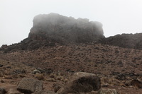 Canon EOS 5D Mark II, 2018:02:27 11:30:47 -- 1/80 sec, f/8.0.  No Flash, Compulsory.4080x2720 