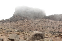 Canon EOS 5D Mark II, 2018:02:27 11:30:47 -- 1/50 sec, f/8.0.  No Flash, Compulsory.4080x2720 