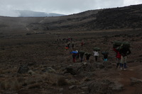 Canon EOS 5D Mark II, 2018:02:27 11:31:06 -- 1/160 sec, f/8.0.  No Flash, Compulsory.4080x2720 