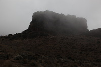 Canon EOS 5D Mark II, 2018:02:27 11:34:27 -- 1/200 sec, f/8.0.  No Flash, Compulsory.4080x2720 